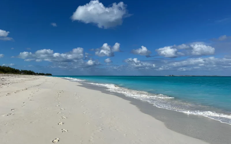 Beyond Blue Exuma (20)
