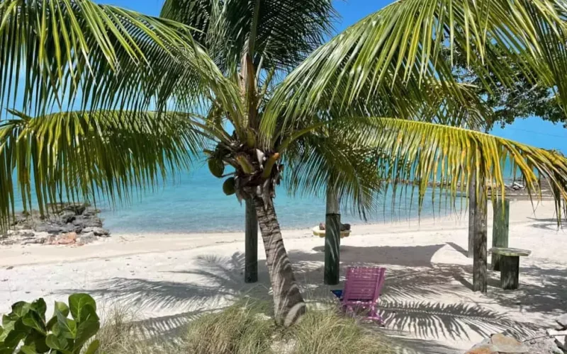 Grotto Bay For 6 (22)